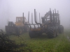 Erdészeti gépek a ködben...